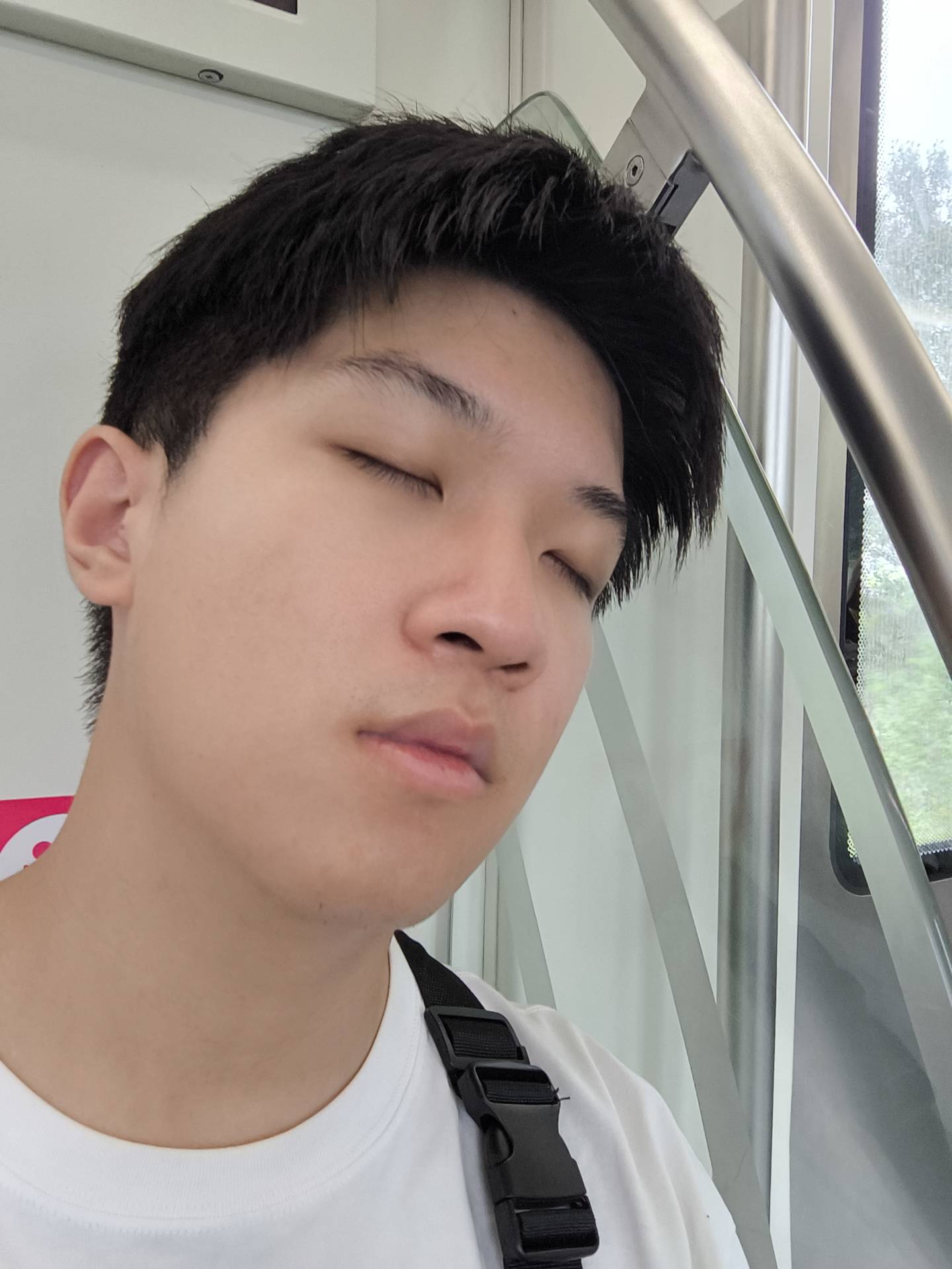 一张生活照片